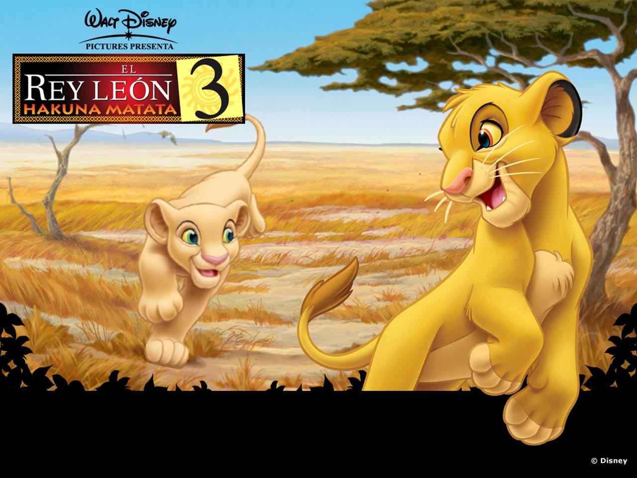 Photo du film Le Roi Lion 3: Hakuna Matata - Photo 6 sur 8 - AlloCiné