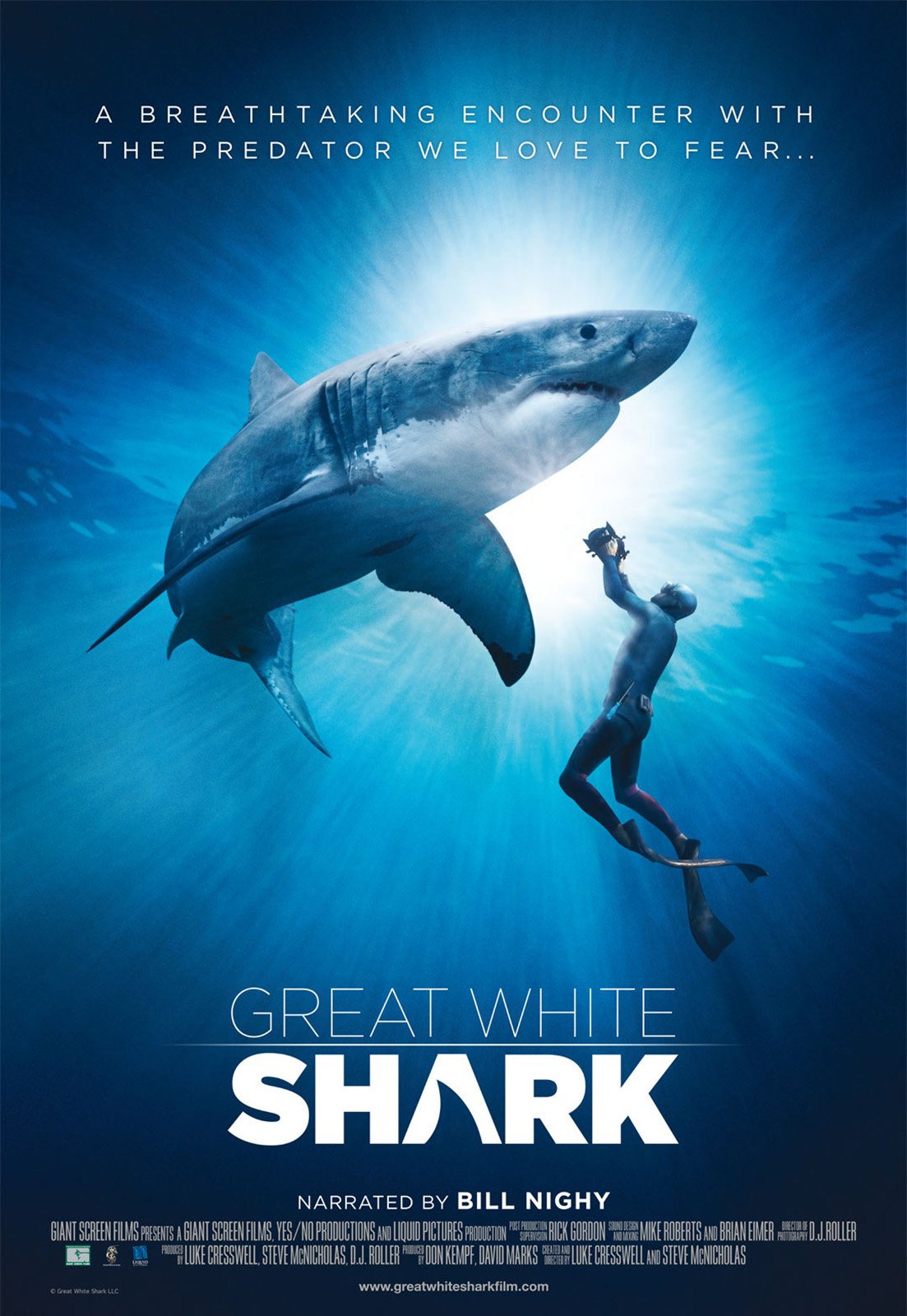 film requin blanc - film avec des requins 2015