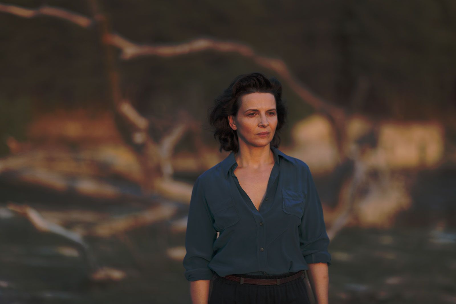 Films Et Séries Tv Avec Juliette Binoche Photo de Juliette Binoche - L'Attente : Photo Juliette Binoche - AlloCiné