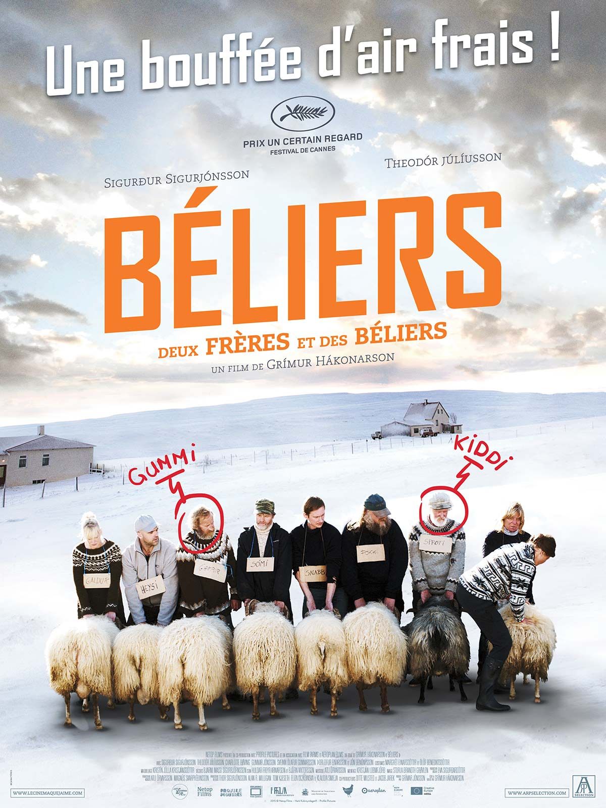 Béliers streaming fr
