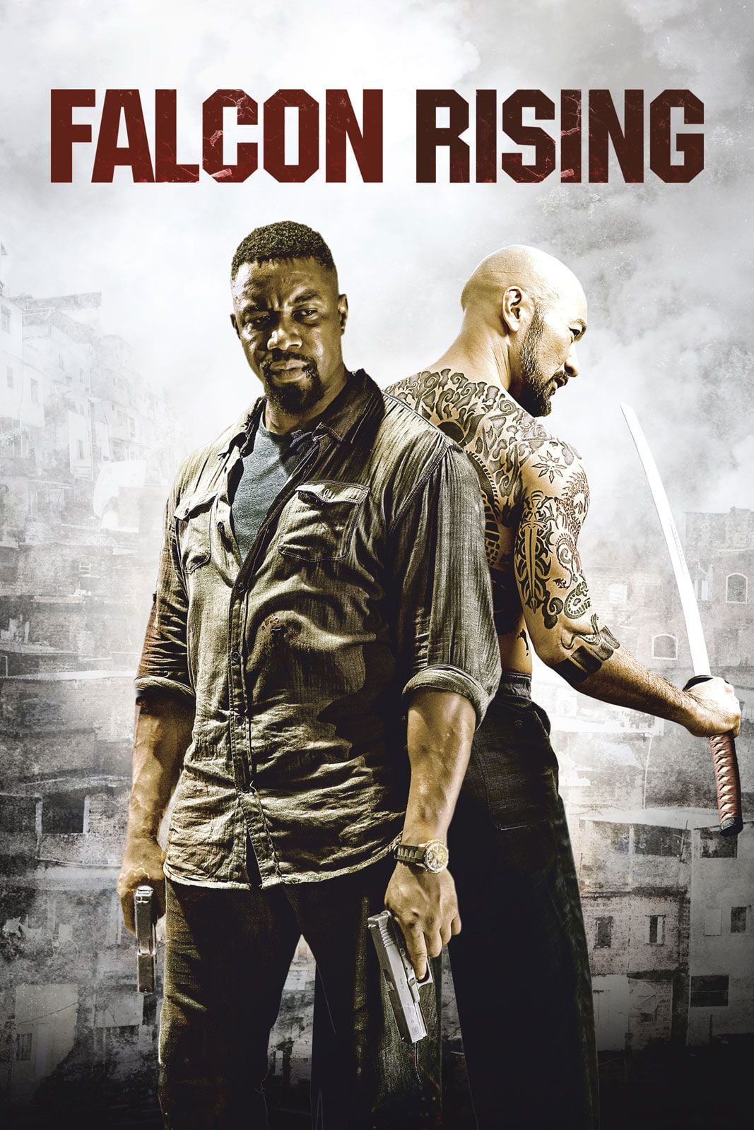 Falcon Rising streaming fr