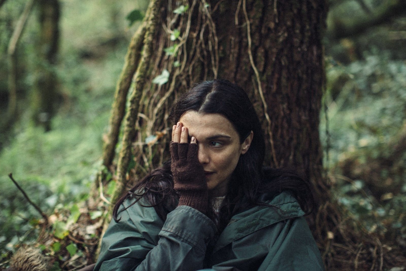 The Lobster Streaming Vf Photo du film The Lobster - Photo 12 sur 49 - AlloCiné