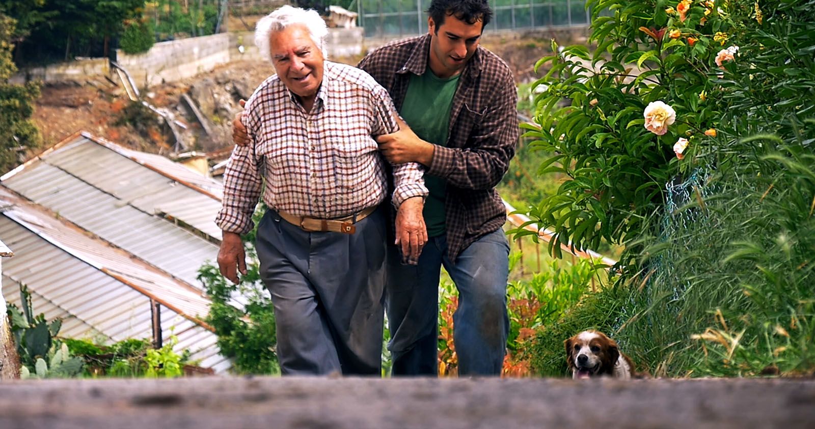 Piece De Theatre La Famille Et Le Potager Photo du film Le Potager de mon grand-père - Photo 5 sur 16 - AlloCiné