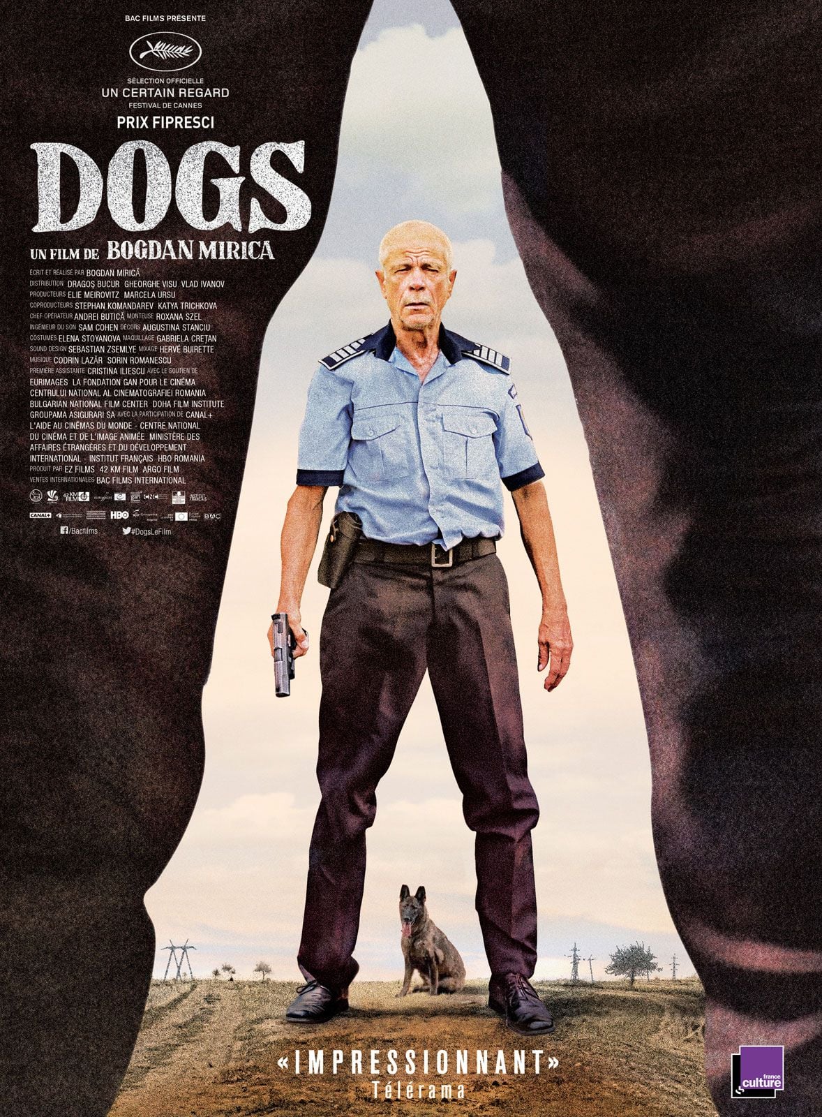 Dogs streaming gratuit