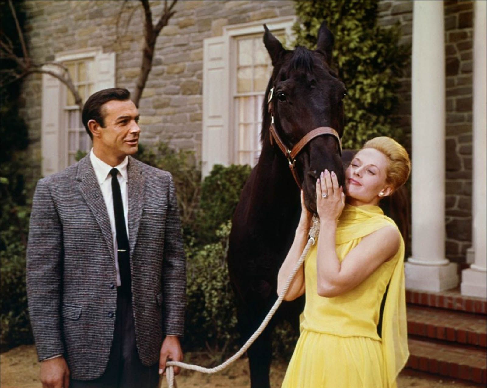 Photo du film Pas de printemps pour Marnie - Photo 13 sur 14 - AlloCiné