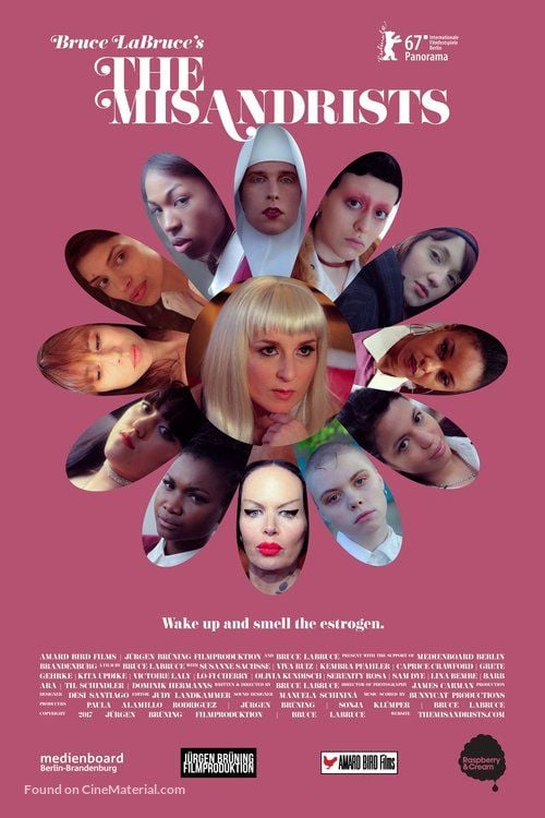 The Misandrists streaming fr