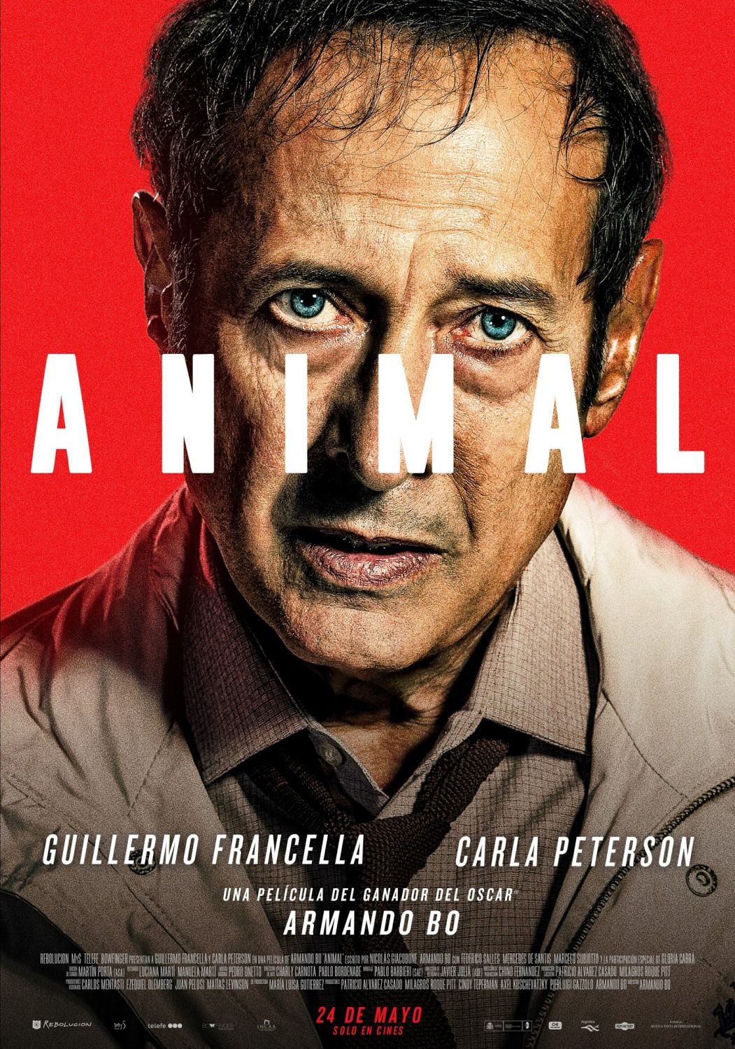 Animal streaming vf gratuit