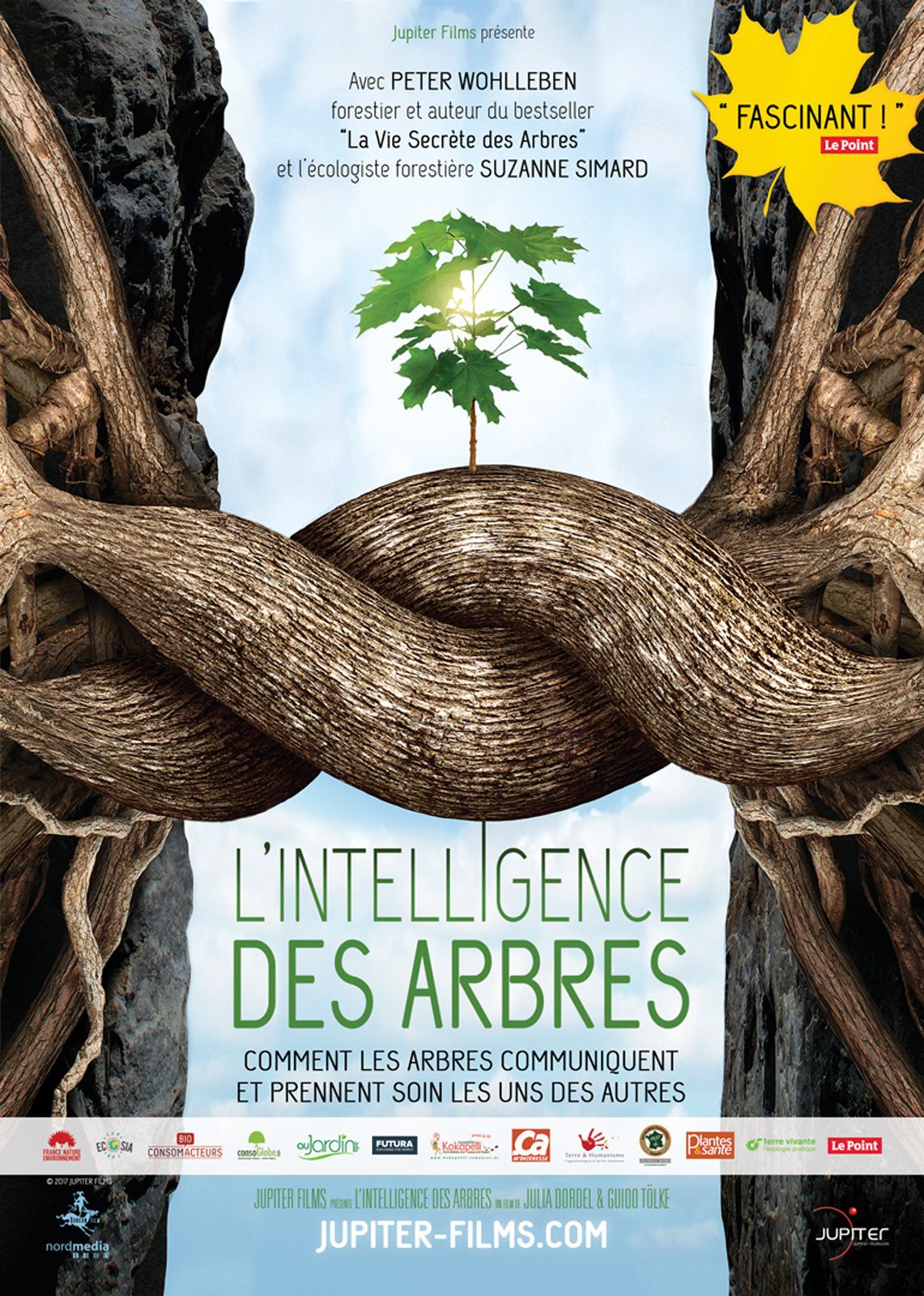 L'Intelligence des Arbres streaming vf gratuit