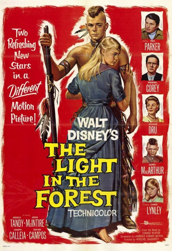 The Light In The Forest streaming gratuit