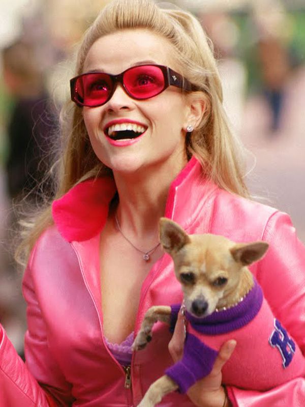 Legally Blonde 3 streaming fr