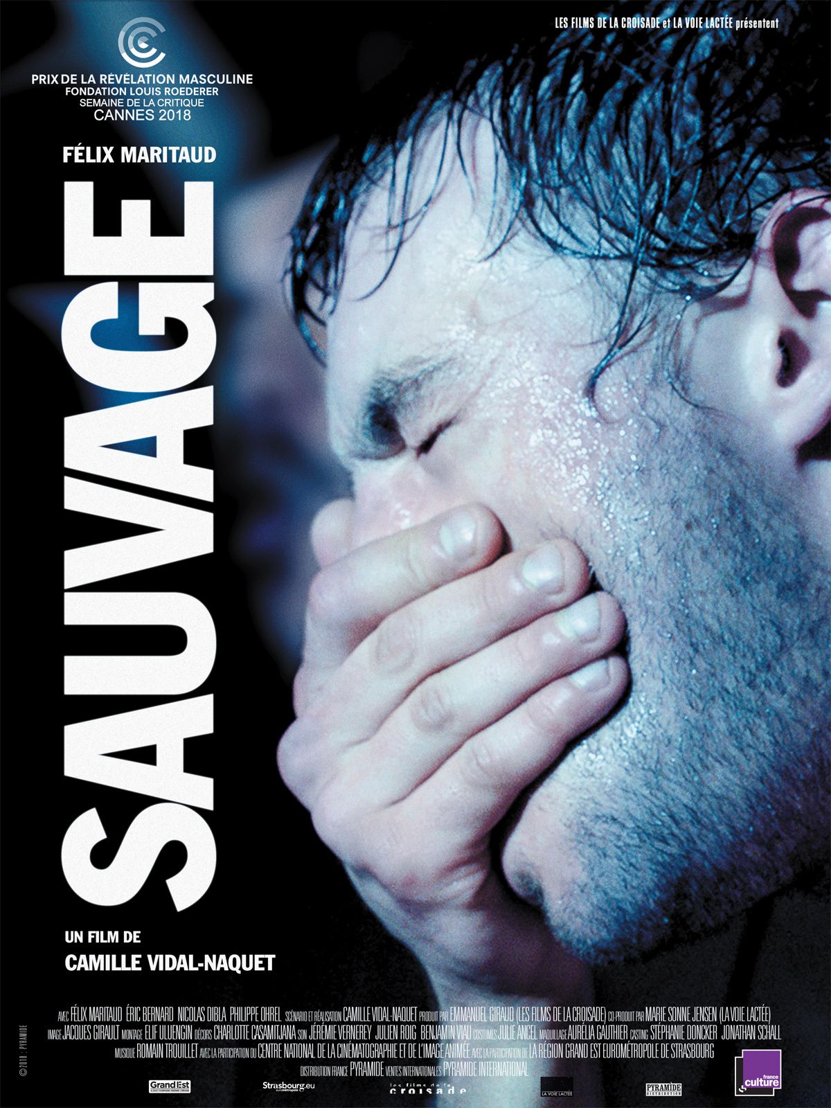 Sauvage streaming gratuit