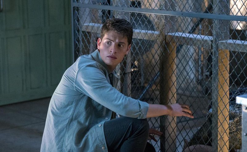 Films Et Séries Tv Avec Gregg Sulkin Marvel's Runaways : Photo Gregg Sulkin - 72 sur 162 - AlloCiné