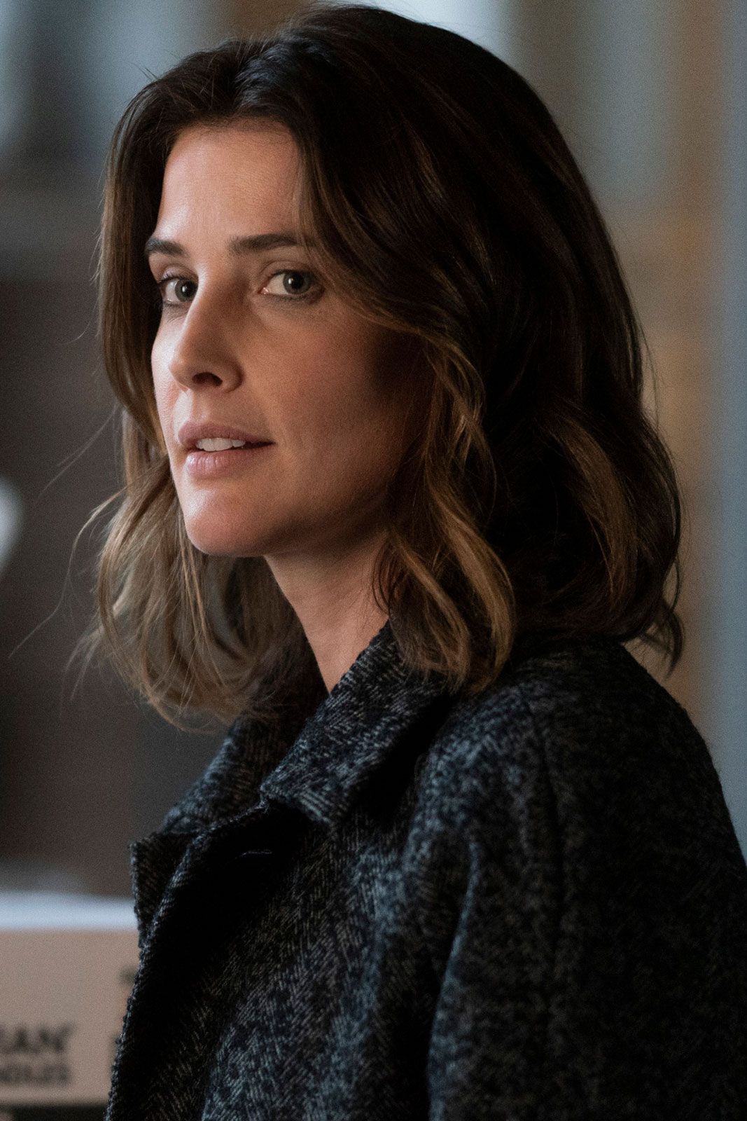 Cobie Smulders Films Et Programmes Tv