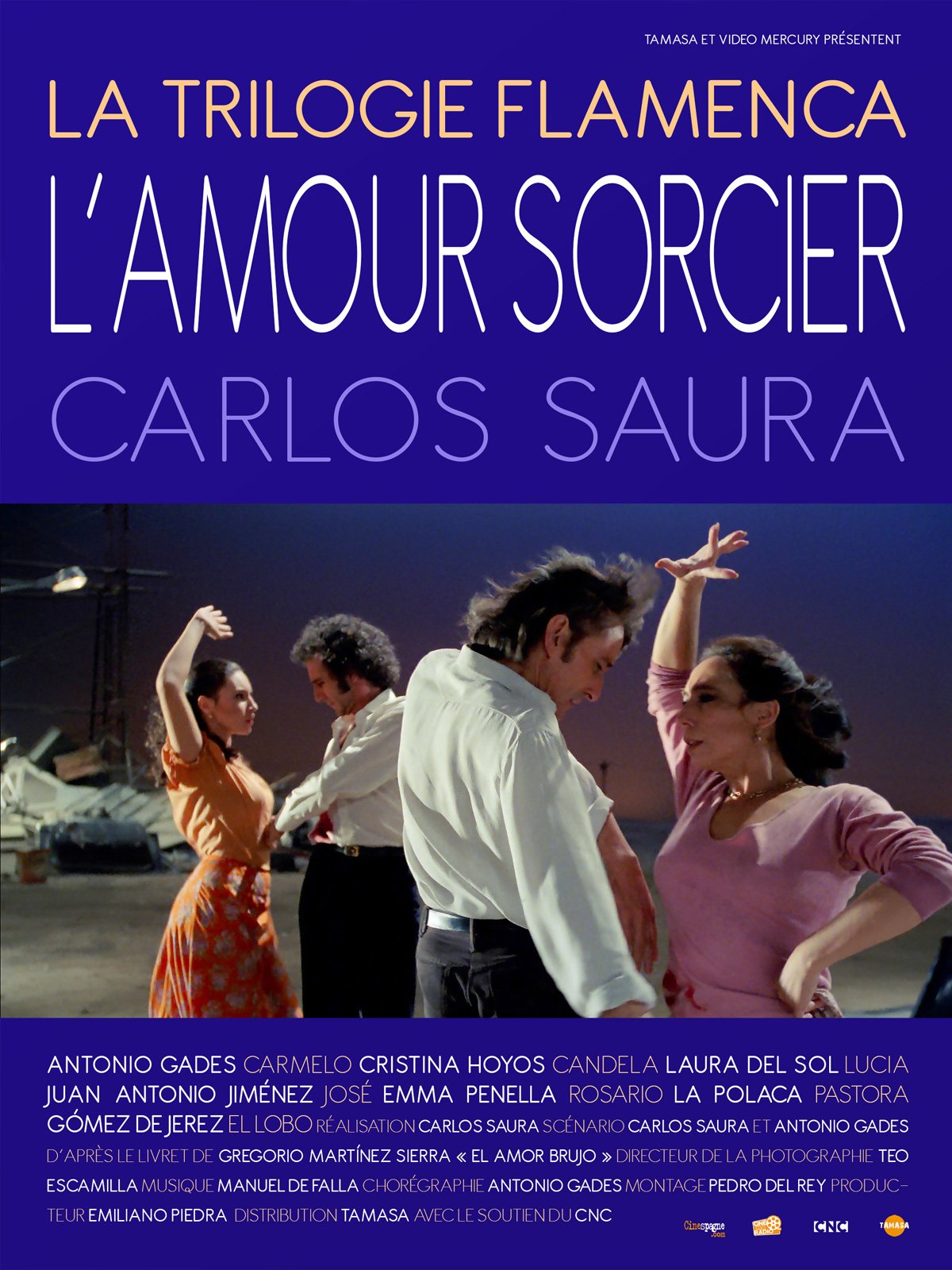 L'Amour sorcier streaming