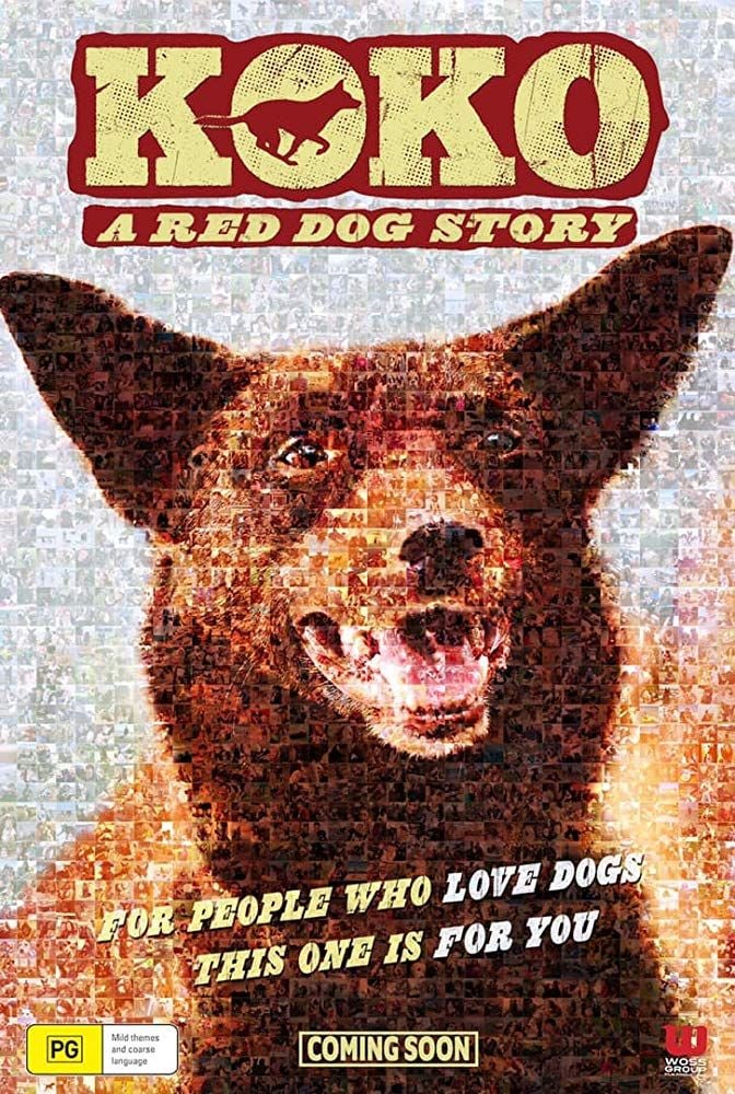 Koko A Red Dog Story Film 2019 AlloCine