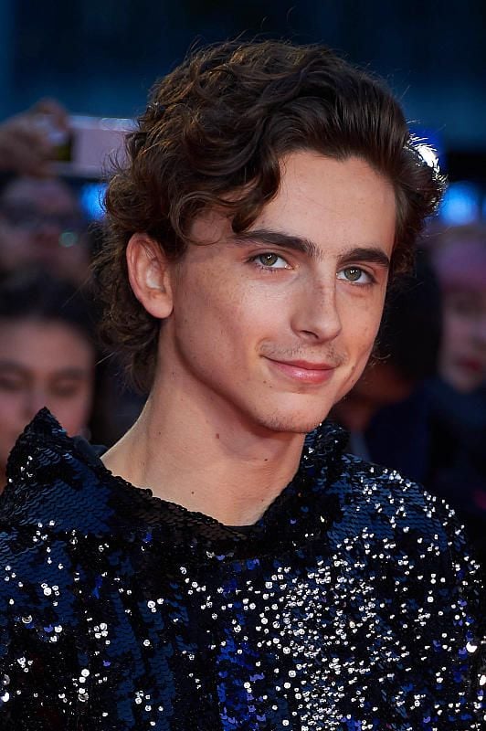 Meurs Un Autre Jour Acteur Photo de Timothée Chalamet - Photo promotionnelle Timothée Chalamet