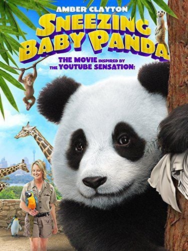 Baby Panda streaming vf gratuit