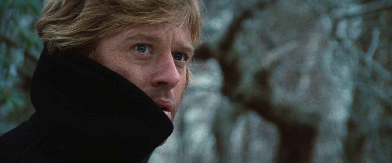 Photo du film Les Trois jours du Condor Photo 1 sur 8 AlloCiné