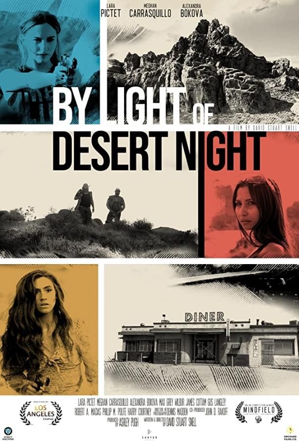 By Light of Desert Night streaming gratuit