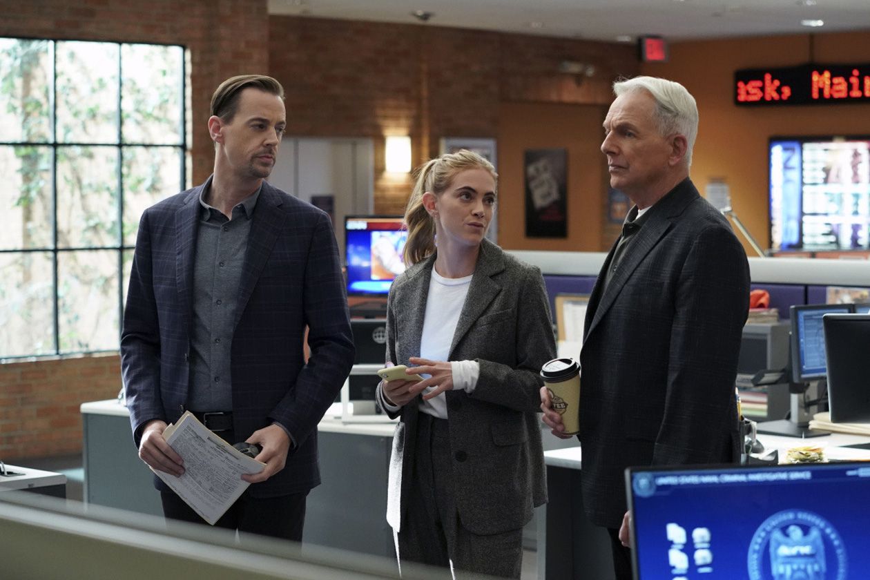 NCIS : Enquêtes spéciales : NCIS : Enquêtes spéciales : Photo Sean