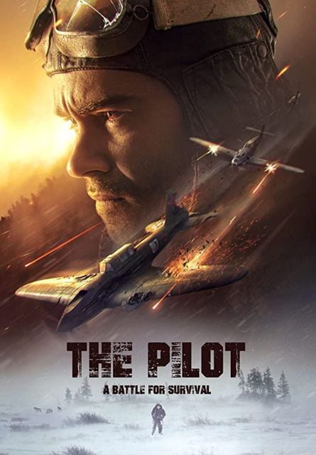 The Pilot: A Battle for Survival streaming vf gratuit