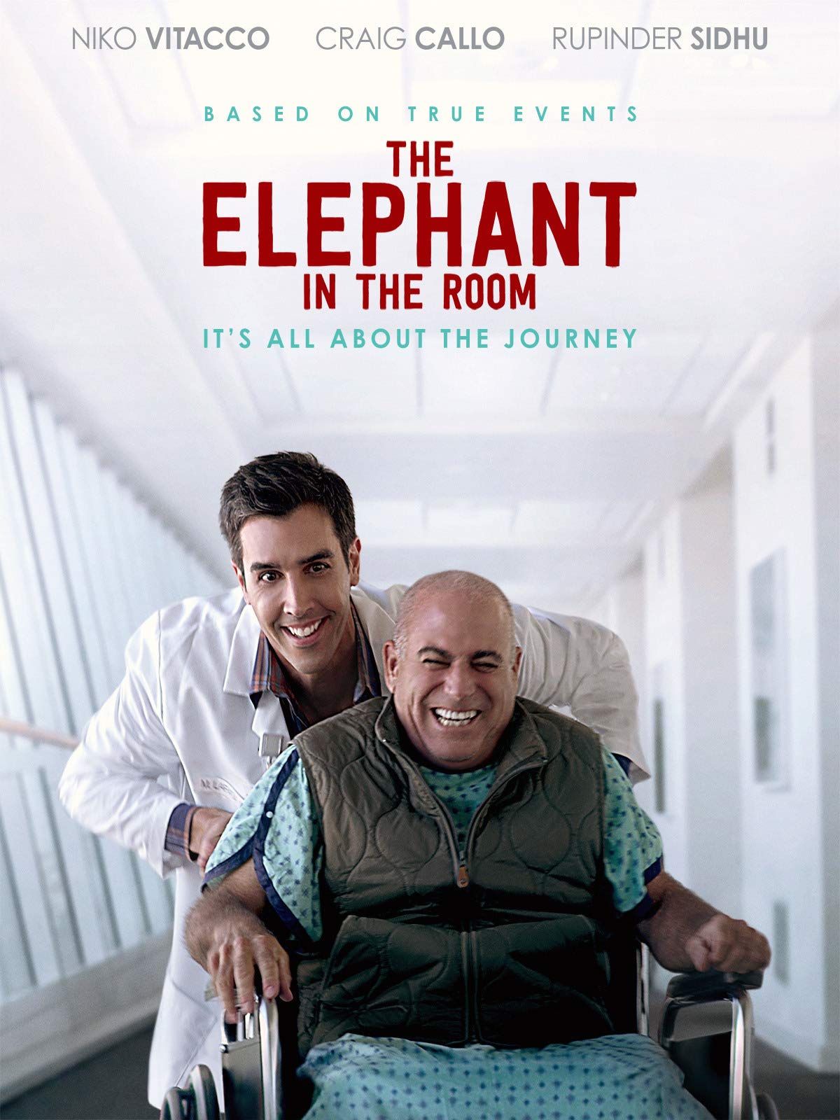L'Eléphant dans la pièce streaming vf gratuit