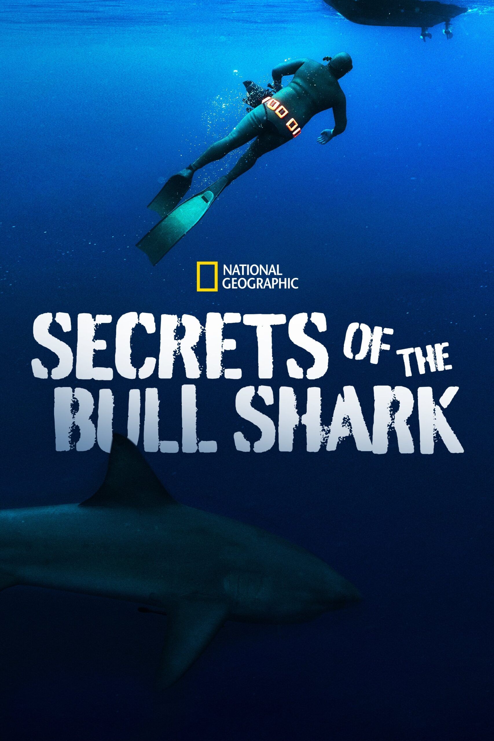 The Biggest Secret From Shark Bae'S Onlyfans Leak - 2blgvy7