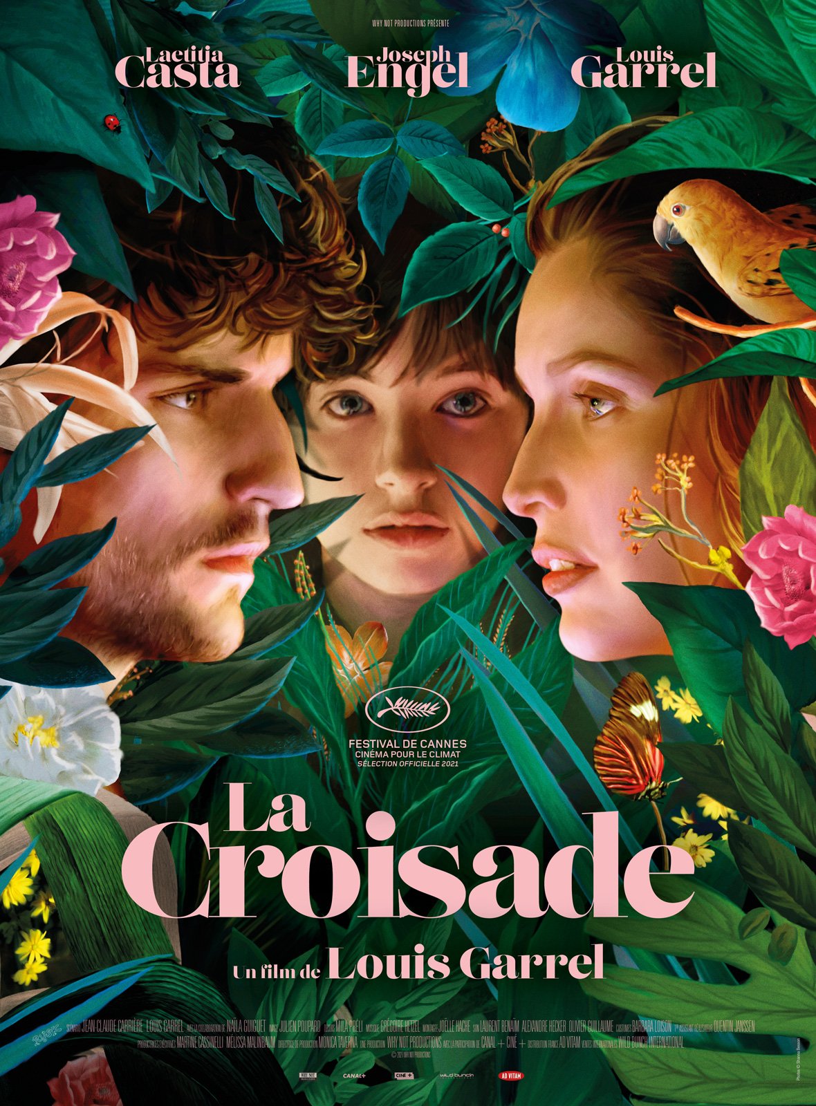 La Croisade en DVD : La Croisade DVD - AlloCiné