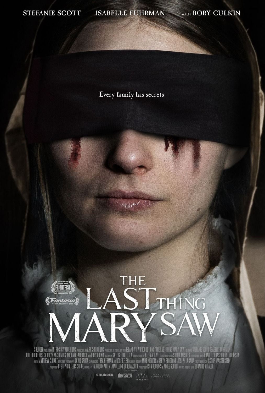 The Last Thing Mary Saw streaming vf gratuit