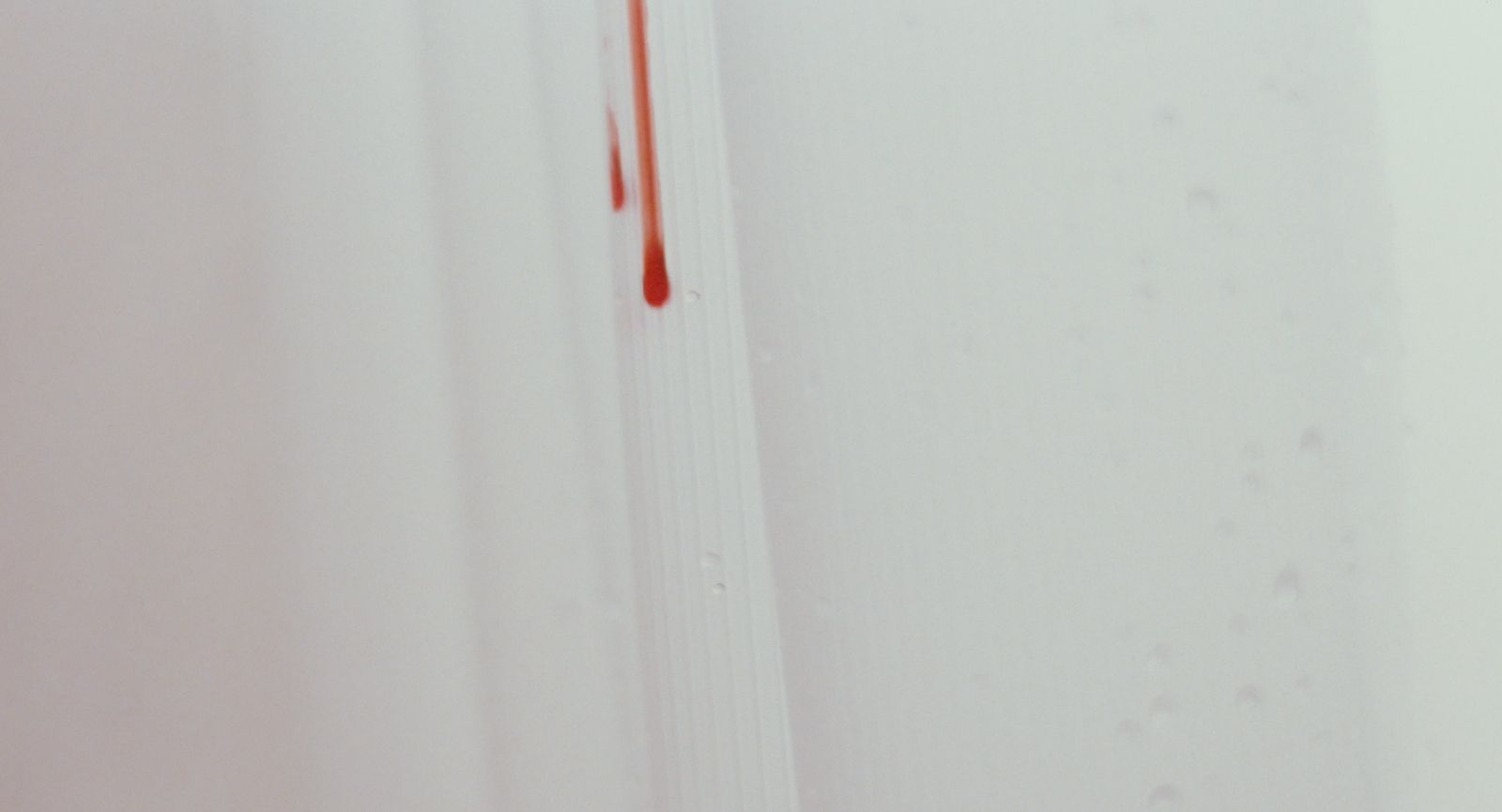 Photo du film Trouble Every Day Photo 12 sur 23 AlloCiné