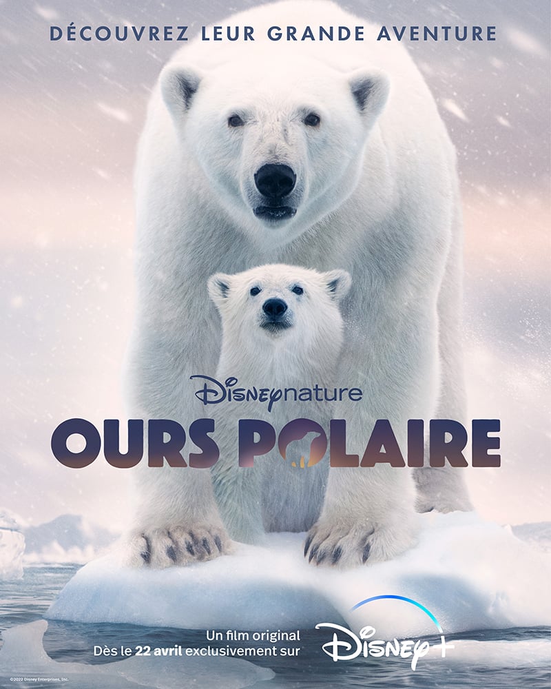 Ours Polaire - film 2022 - AlloCiné