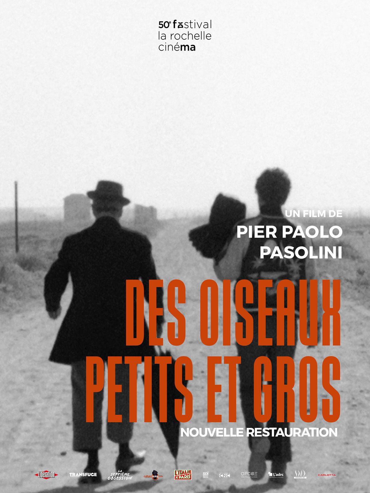 Des oiseaux petits et gros streaming fr