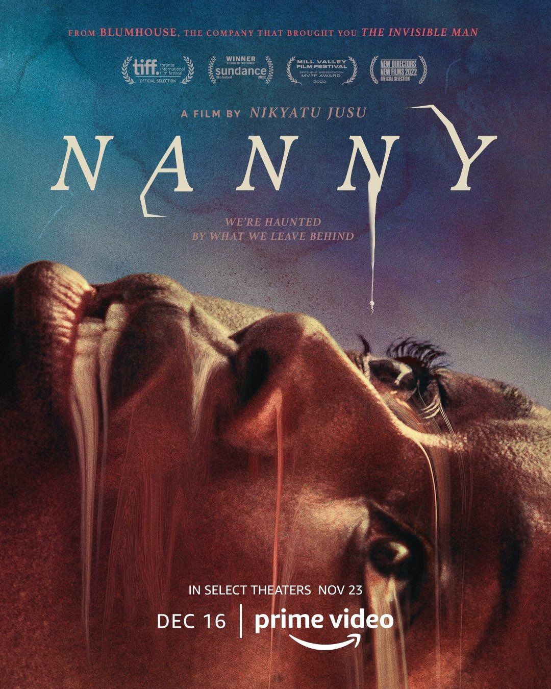Nanny streaming vf gratuit