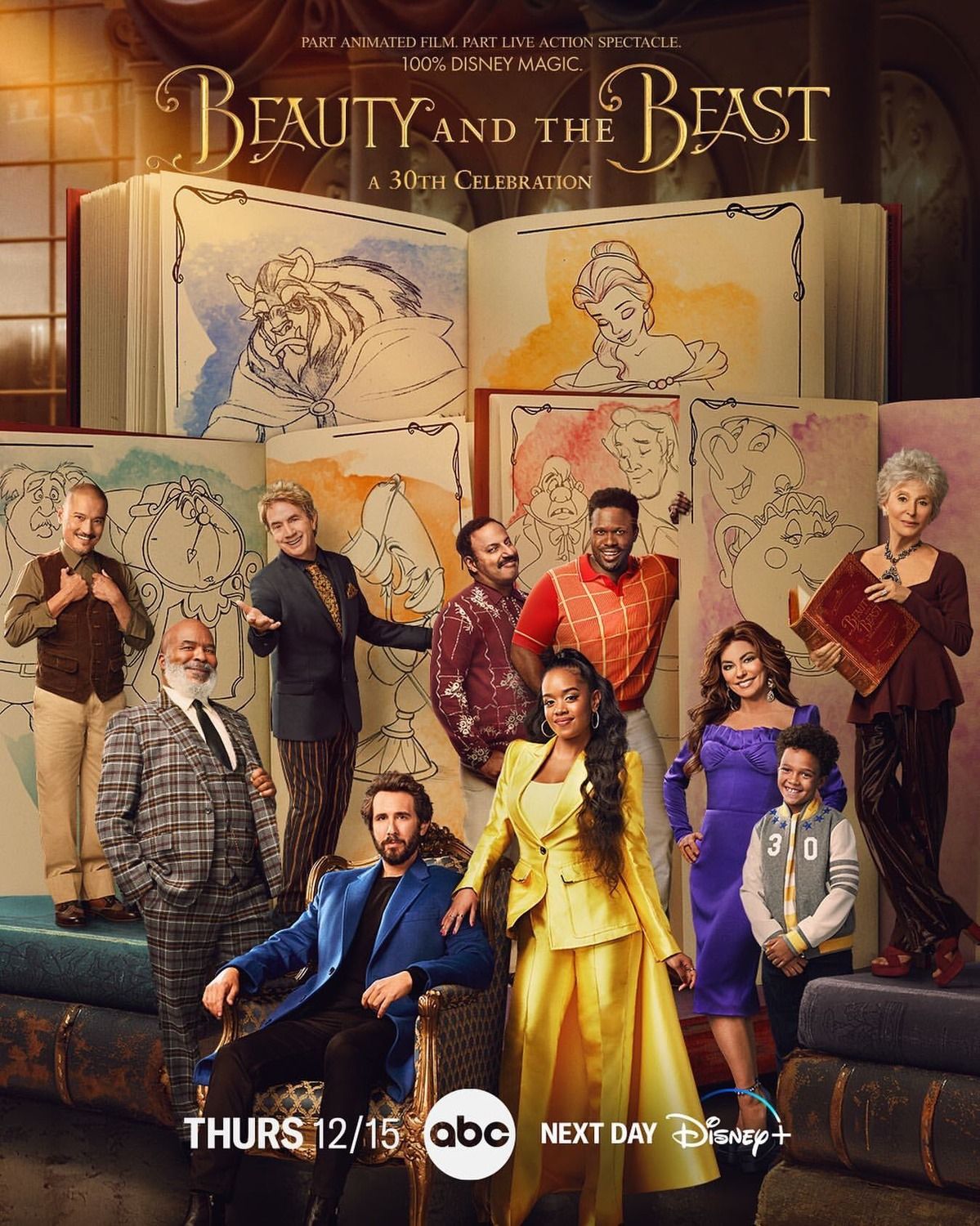 Beauty And The Beast Vf Affiche du film Beauty and the Beast: A 30th Celebration - Photo 1 sur 12 -  AlloCiné
