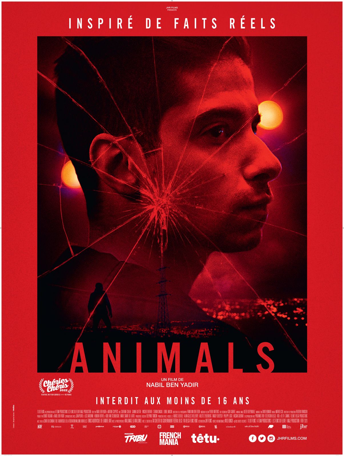 Animals streaming vf gratuit
