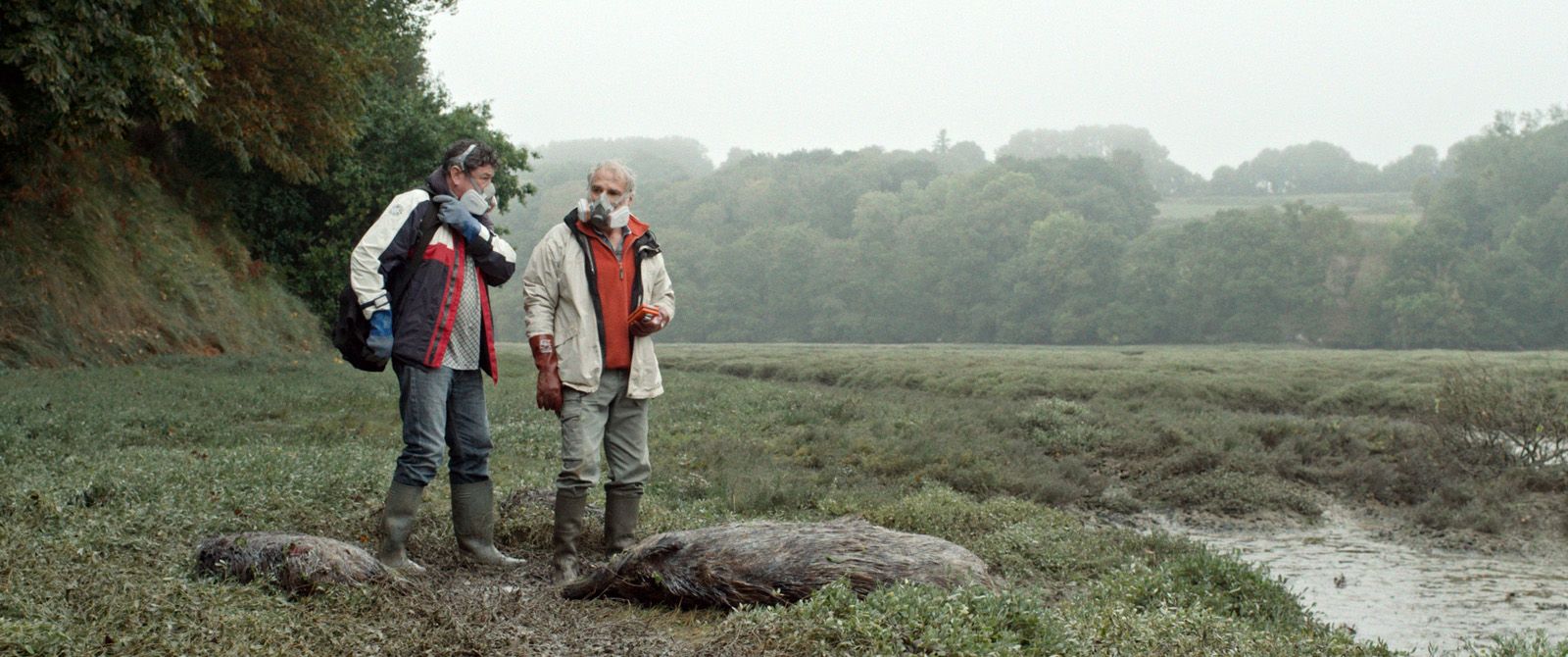 Photo Du Film Les Algues Vertes - Photo 5 Sur 7 - AlloCiné