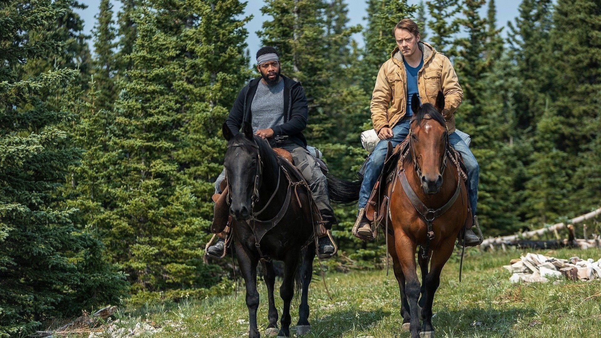 Poster Joe Pickett saison 1 Affiche 13 sur 23 AlloCiné