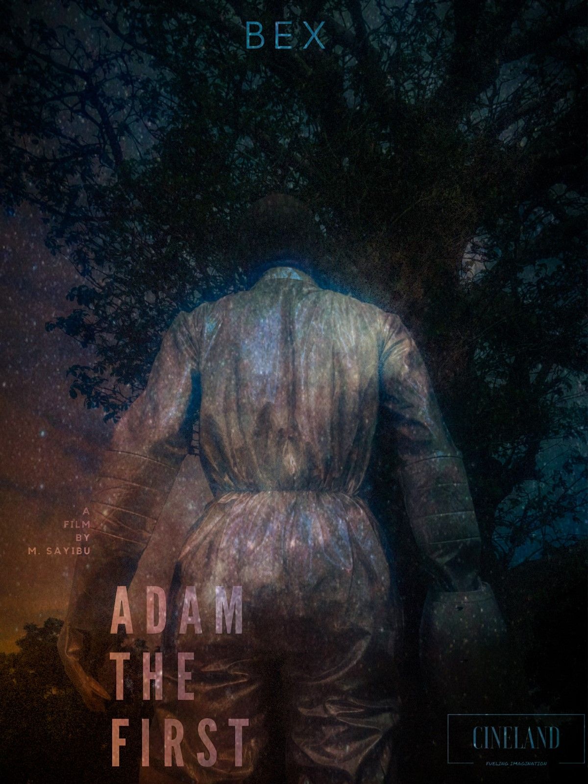 Adam The First streaming fr