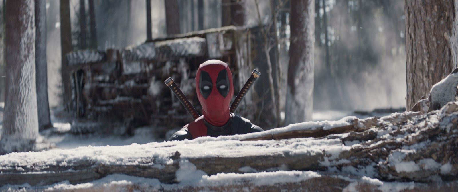 Photo du film deadpool wolverine photo 49 sur 52 allocin 