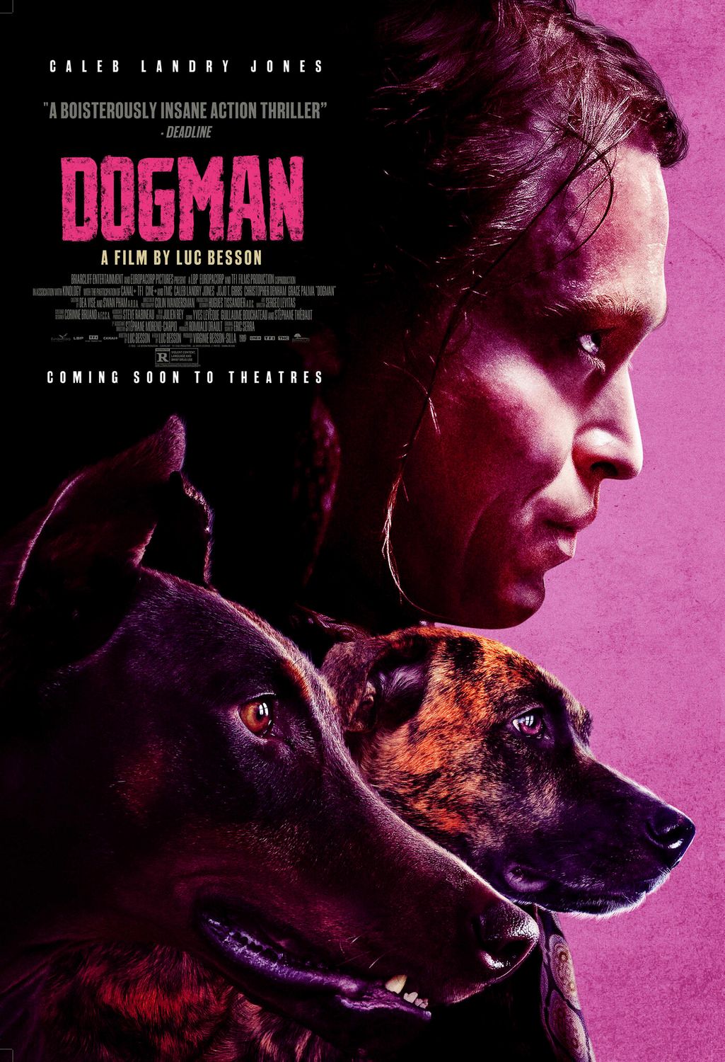 Affiche Du Film Dogman Photo 7 Sur 12 Allociné