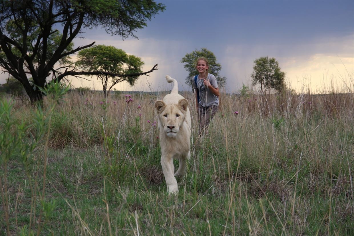 Mia et le Lion Blanc au Cinéma Charleville Mézières ...