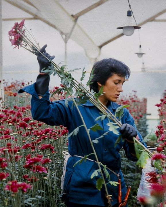 Amour, femmes et fleurs : Photo