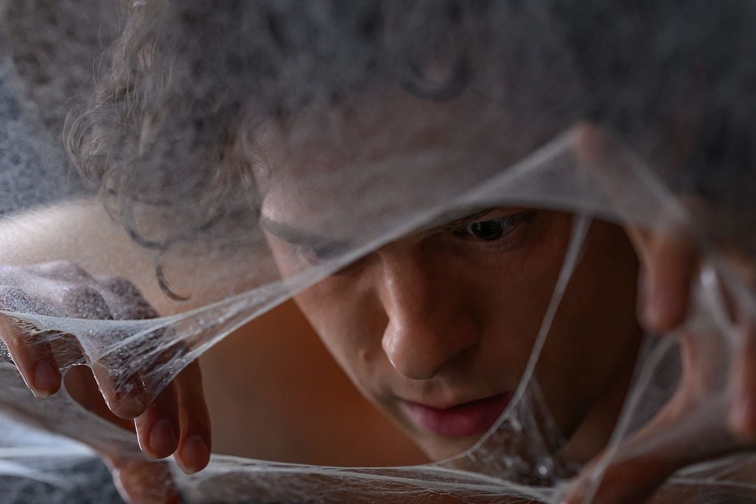 Spider-Man: Brand New Day : Photo Tom Holland