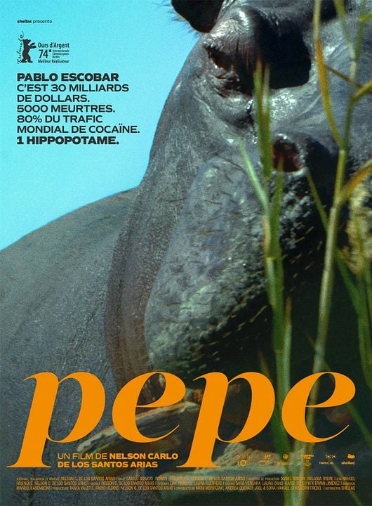 Pepe : Affiche