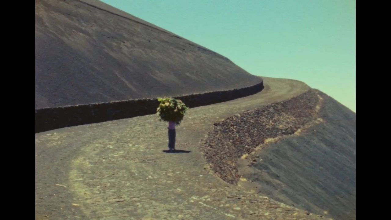 The Story of Documentary Film (The 1970s) : Photo