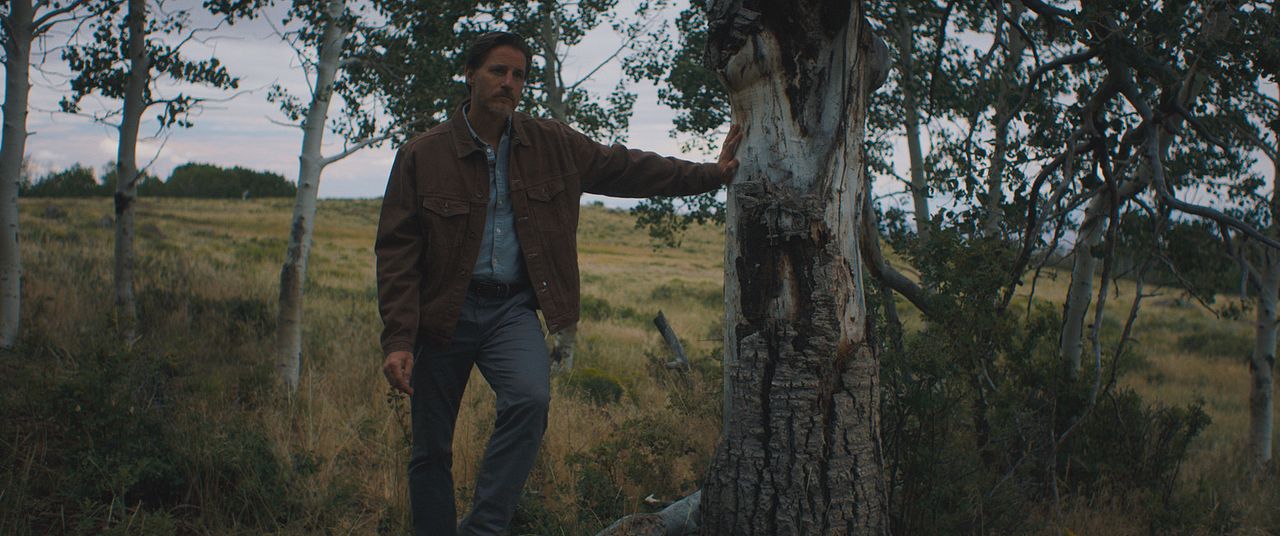 The Wilderness : Photo