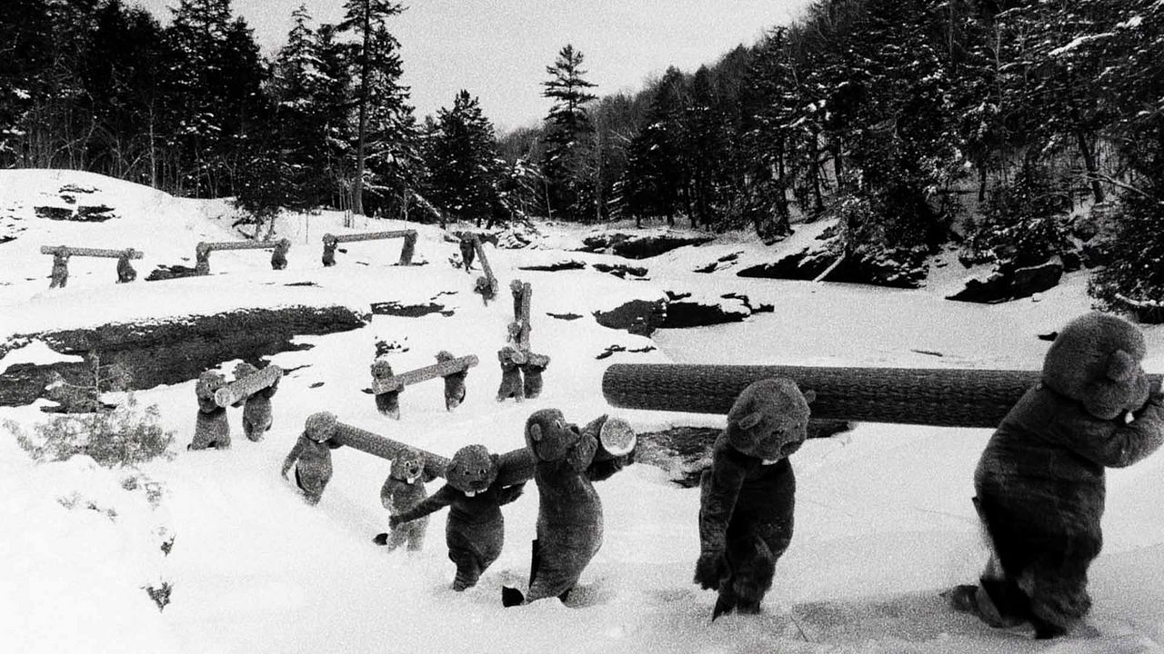 Hundreds of Beavers : Photo