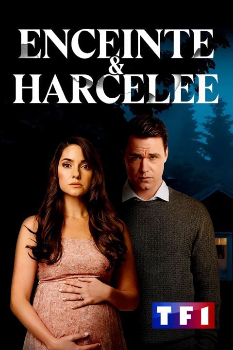 Enceinte et Harcelée : Affiche