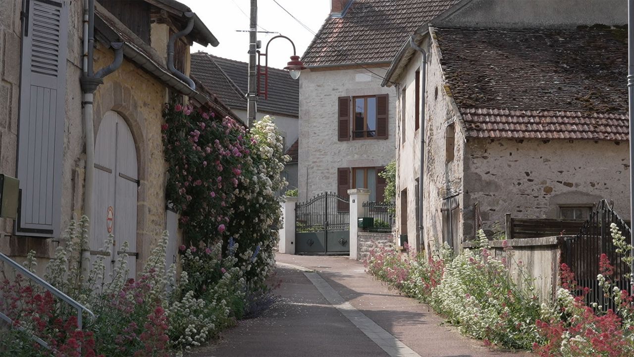Transition sous tension : Photo