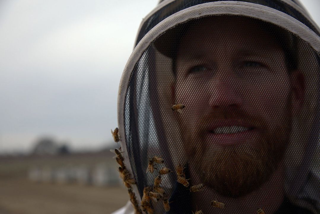 Les Secrets des abeilles  : Photo